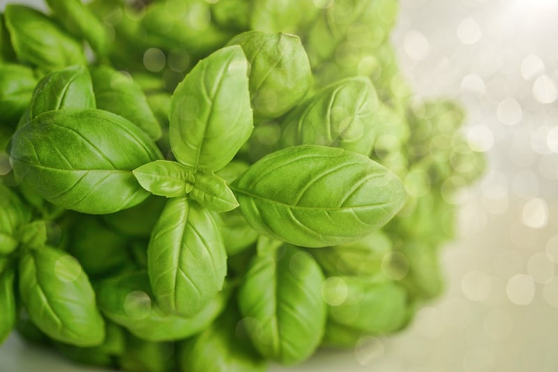 Herbs