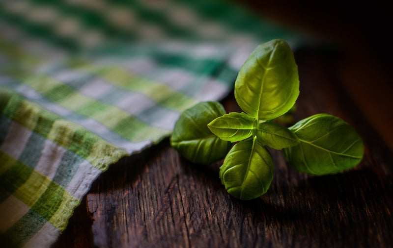 Fresh herbs in a glass of water